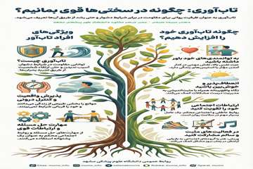 info (17)